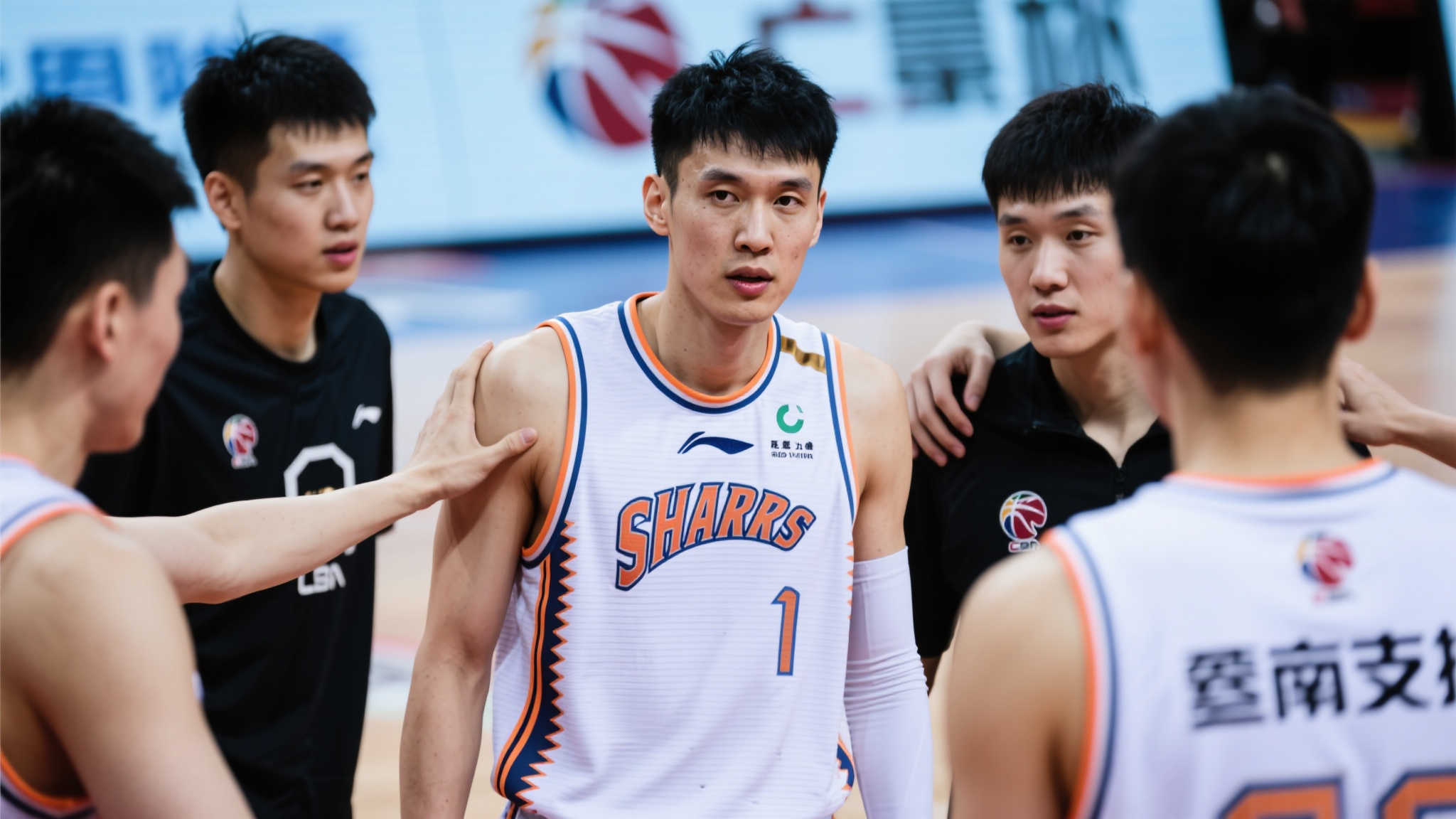 一动都备受 一动都备受